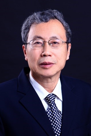 H动画