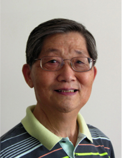 H动画