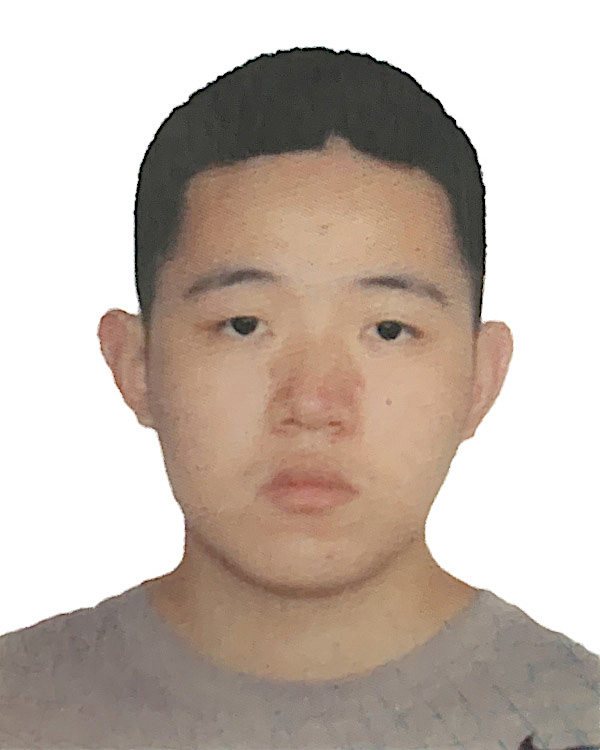 H动画